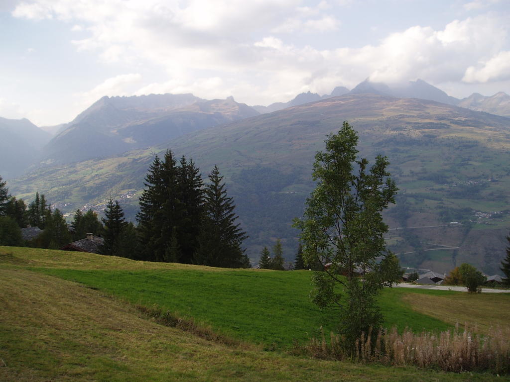 Chalet Les Gentianes La Plagne Oda fotoğraf
