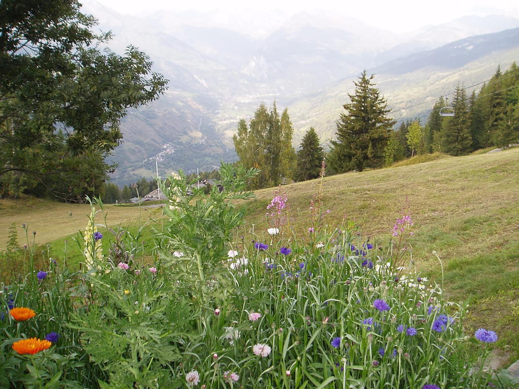 Chalet Les Gentianes La Plagne Oda fotoğraf