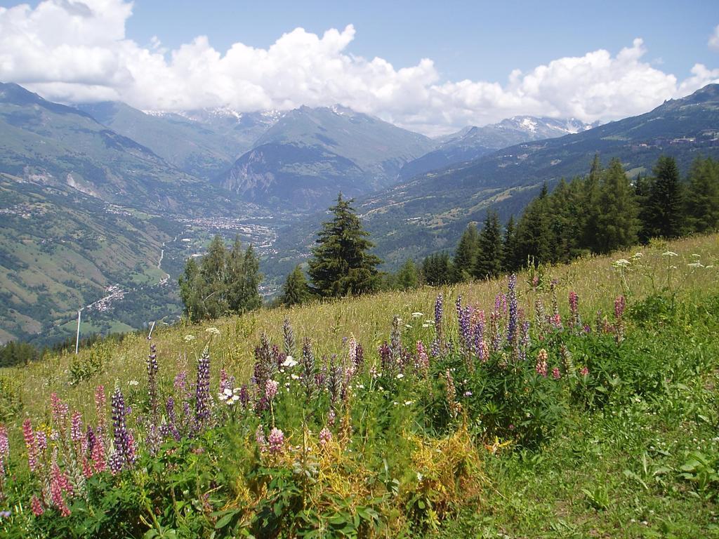 Chalet Les Gentianes La Plagne Dış mekan fotoğraf